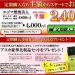 ごまみ1
