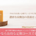 ミネラル炭素石鹸
