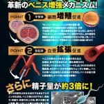 驚異の実力