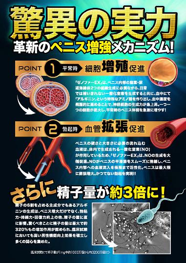 驚異の実力