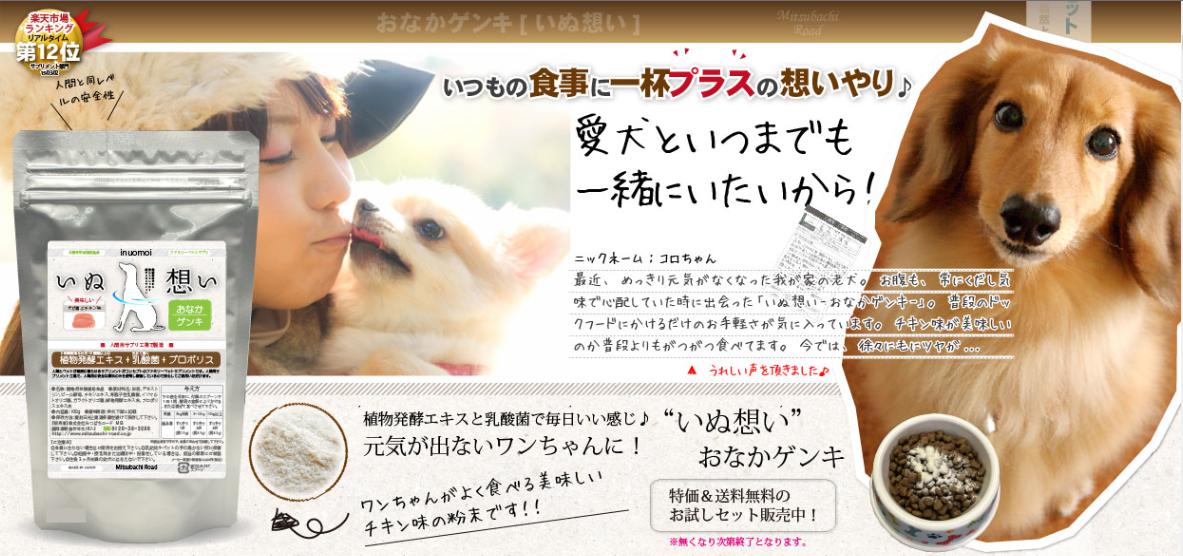 いぬ想い