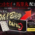 オービッグ