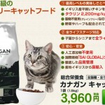 カナガンキャットフード