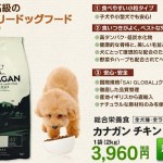 カナガンチキン