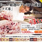 ジェブズ米
