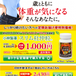 スリム杜仲粒