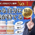 ダブルインパクト1