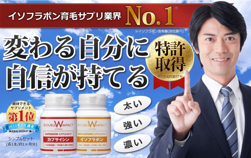 ダブルインパクト1