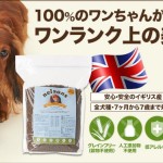 ネルソンズ