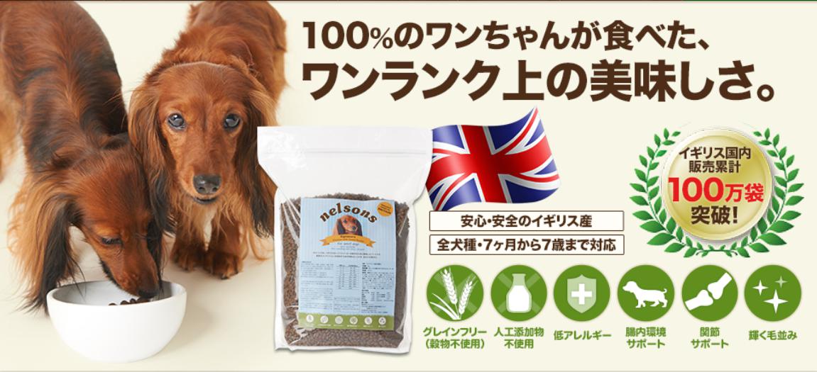 ネルソンズ