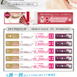 マイクロパッチ11