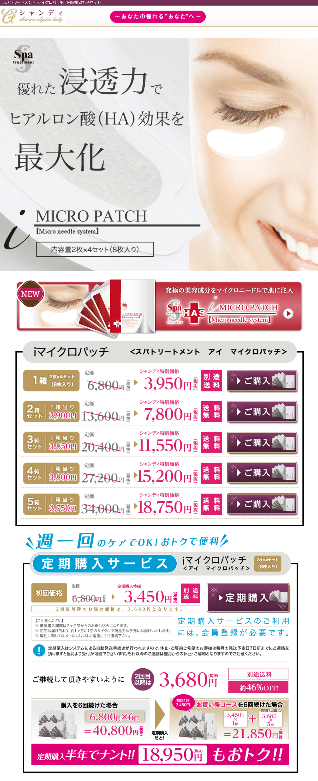 マイクロパッチ11