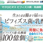 マクロビオス乳酸菌