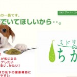 ミドリムシのちから2