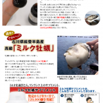 ミルク牡蠣1