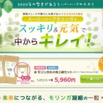 モリンガ