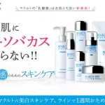 リベシーヤクルト