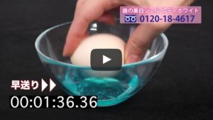 レディーホワイト動画2