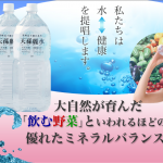 天孫麗水1