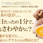愛犬のお口サポート