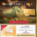 母の滴サラブレッド100プラセンタ
