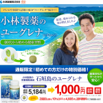 石垣島のユーグレナ