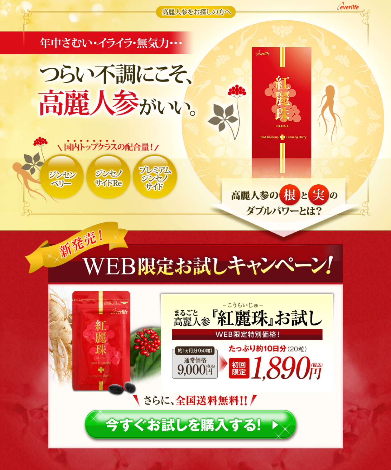 紅麗珠1