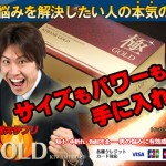 極めGOLD