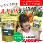 非加熱野菜酵素1